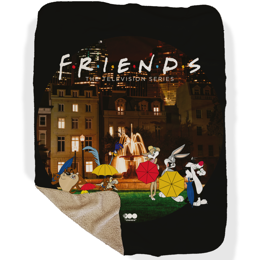 WB 100 Looney Tunes x Friends Intro Scene Sherpa Blanket