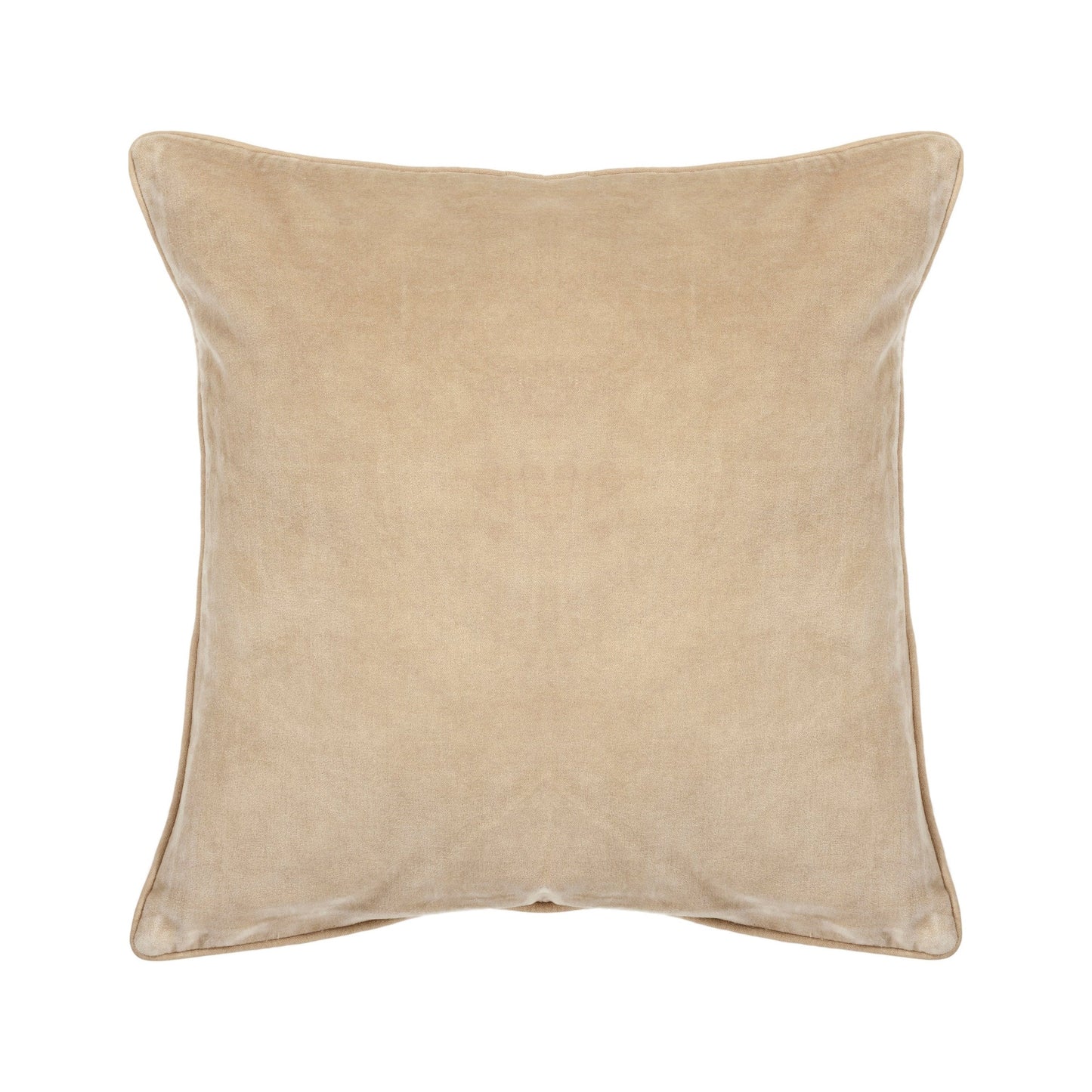 Velvet Throw Pillow